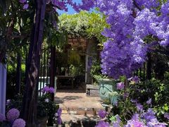 -The Grounds of Alexandria