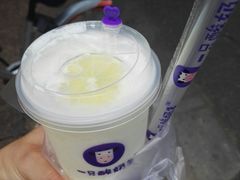 -一只酸奶牛(东方广场店)