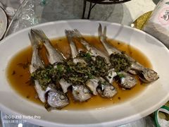 -阿巧一号私房菜(止园路店)