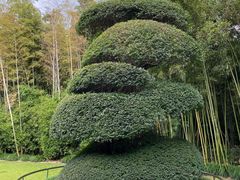 -苏州河梦清园环保主题公园