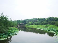 -同里国家湿地公园
