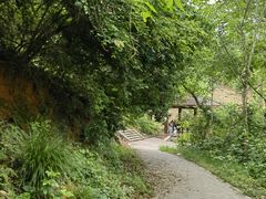 -青龙山国家森林公园