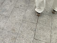 -演武大桥观景平台