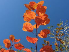 -鬼笑石后山停车场