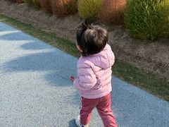 -春花秋色城市公园