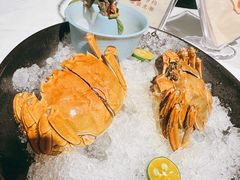 -阿五黄河大鲤鱼(纬三路店)