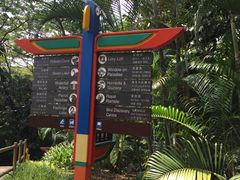-新加坡飞禽公园