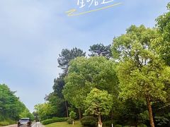 -金水泊山庄·花椒鸡(铁山坪店)