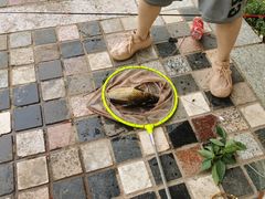 -酷鱼垂钓CLUB(朝阳区博大路店 )