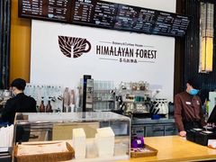 -喜马拉雅森HIMALAYAN FOREST