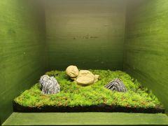 -泰合玺·精油按摩(河西龙湖天街店)
