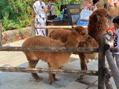 -波塞冬旅游度假区