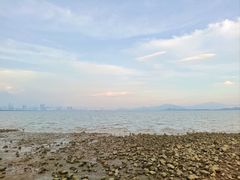 -深圳湾公园(南山区)
