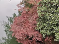 -西湖文化广场