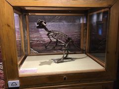 -国家自然博物馆