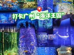 -广州海洋馆