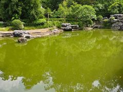 -深圳国际园林花卉博览园