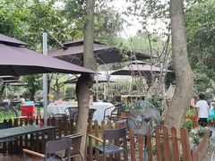 -张鸟园农家乐(张鸟园店)