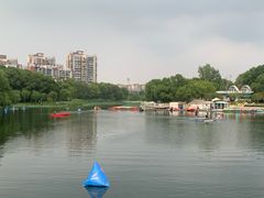 -新江湾城公园