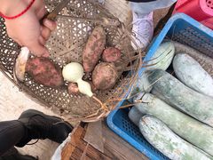 -上海多利农业发展有限公司