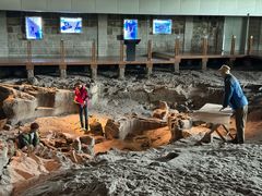 -自贡恐龙博物馆