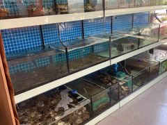 水产区-阿伍海鲜大排档(塔湾金沙店)