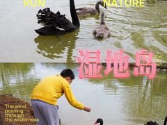 -森波拉火山温泉