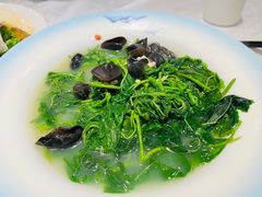 上汤桑叶-顺德佬华侨城店·商务宴请·团建