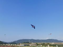 -光明小镇欢乐田园