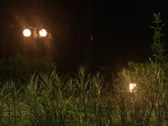 -东山湖温泉度假村