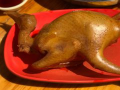 -光明刘冰乳鸽店(光明法政北路店)