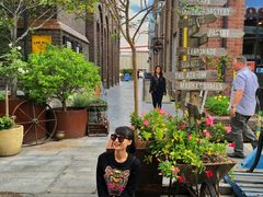 -The Grounds of Alexandria