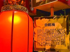 -国色天乡三期陆地乐园