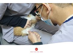 -中农大我爱我爱24h动物医院·中医针灸·猫专科·骨科医疗中心(双井店)