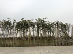 -灵山莲花公园-温泉度假区