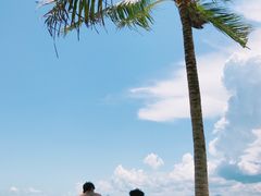 -玫瑰海岸文化旅游度假区