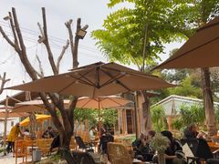 -柠檬花院烤肉·会议团建·聚会·求婚(三圣乡店)