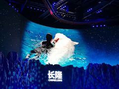 -珠海长隆海洋王国