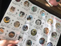 -喵屿·大理花园猫咖