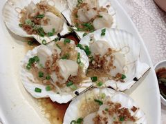 -海港酒家(翔龙湾广场店)