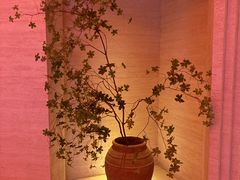 -舒小悦·舒养SPA·古法推拿(光环中心店)
