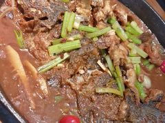 -老板恋上鱼(印象城店)