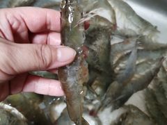 -三旗百汇商品城