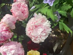 -吉友粥底火锅(方斜路店)