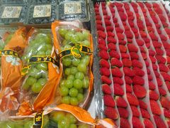 -蜜肆动物奶油蛋糕·个性定制·下午茶甜品