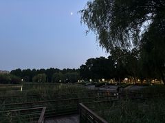 -郑州植物园