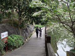 -大屏嶂森林公园