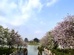 -海珠湖公园