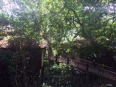 九州驿站-天门沟九州驿站树上汤泉