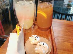 -柴犬高等学院·狗咖·柴犬售卖·宠物训练